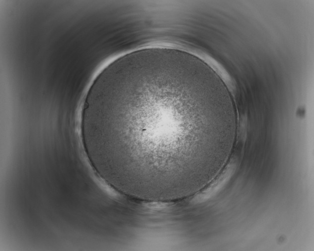 X0000103160862200808221353