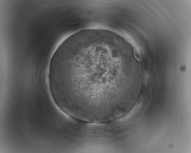 X0000103160863200808221353