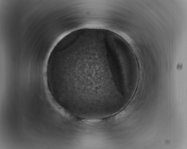 X0000103160864200808221353