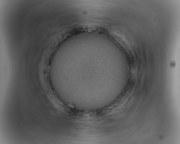 X0000103160865200808221352