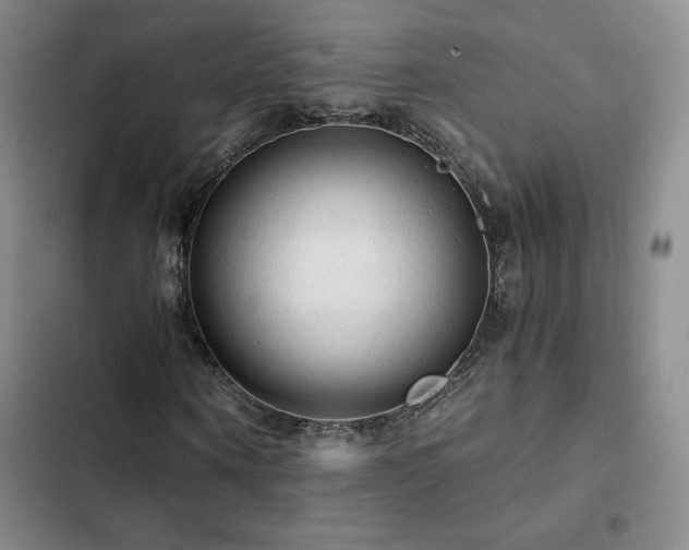 X0000103160866200808221352