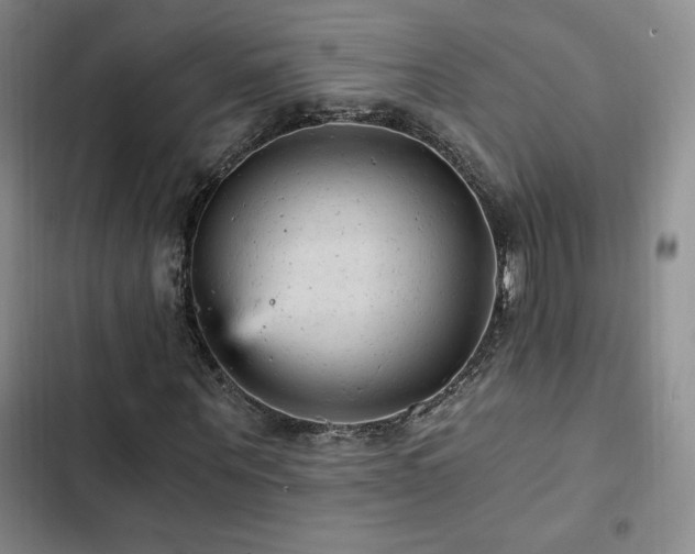 X0000103160867200808221352