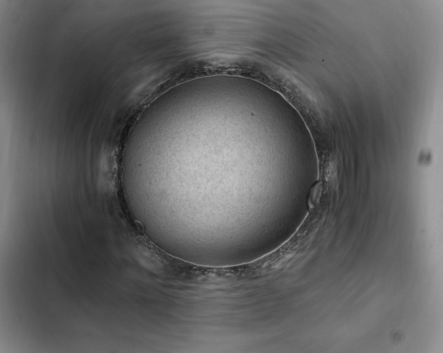 X0000103160868200808221352