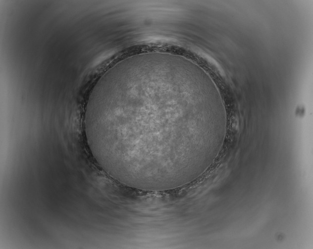 X0000103160869200808221352