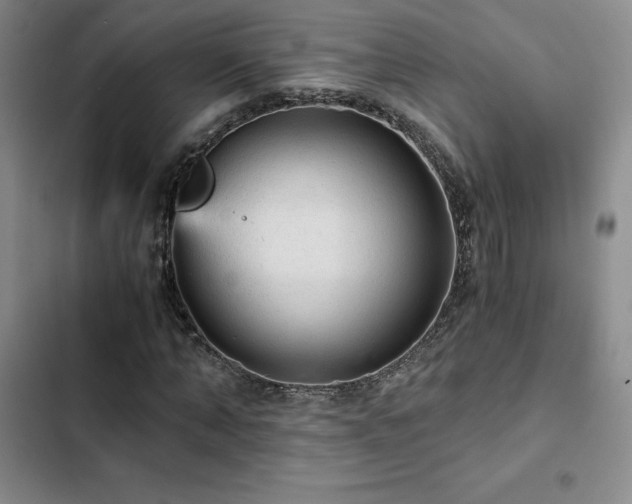 X0000103160870200808221352