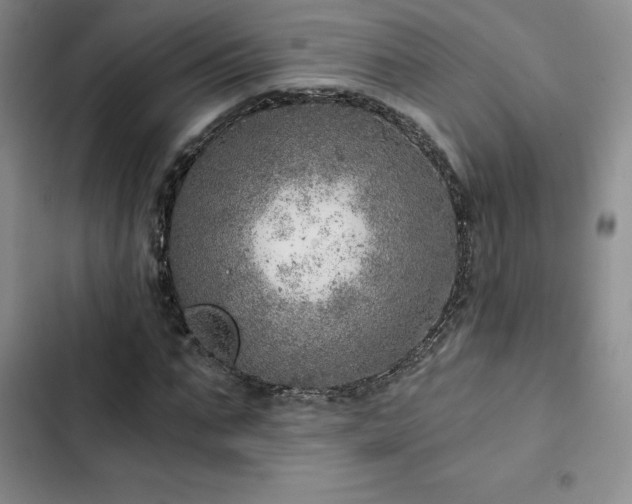 X0000103160871200808221352