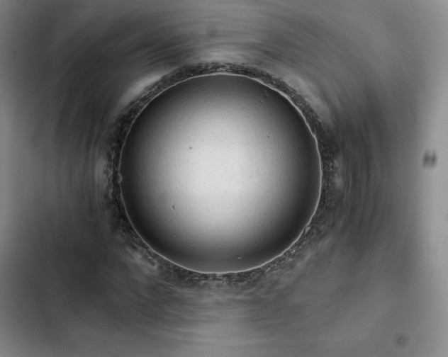 X0000103160872200808221352