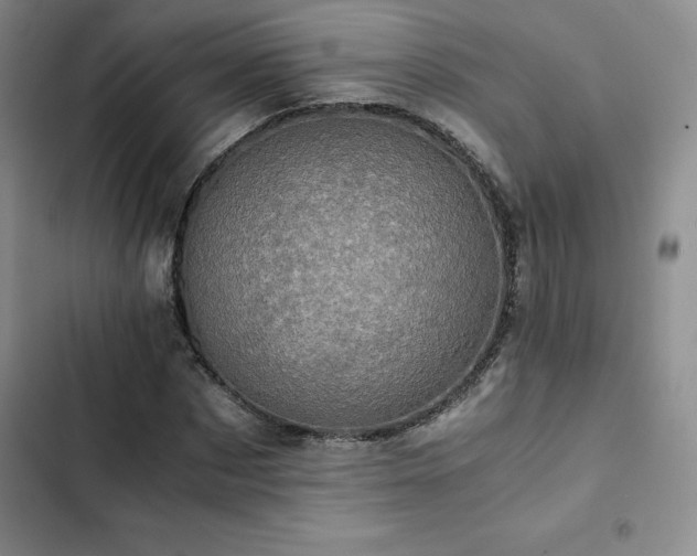 X0000103160873200808221352