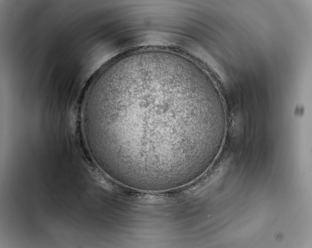 X0000103160874200808221352