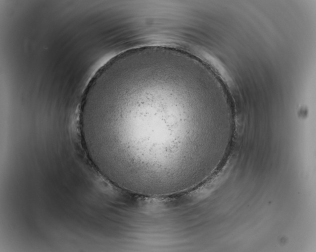 X0000103160875200808221352