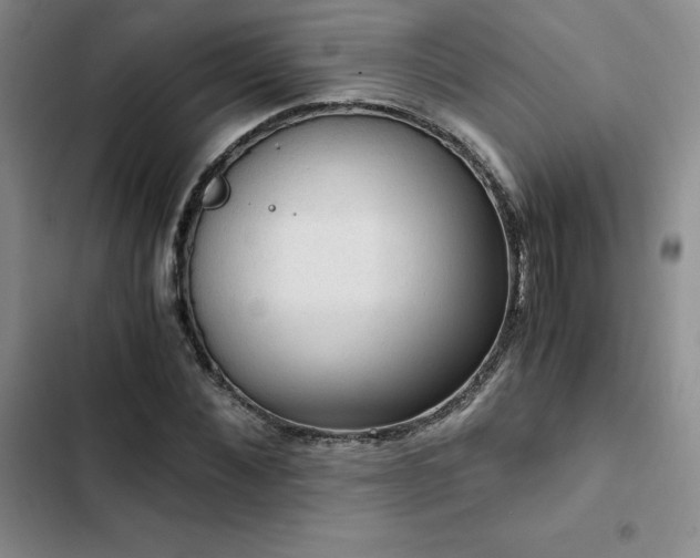 X0000103160876200808221352