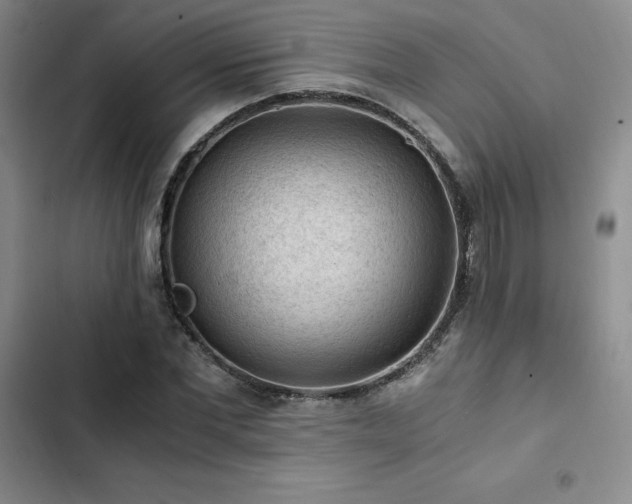 X0000103160877200808221352