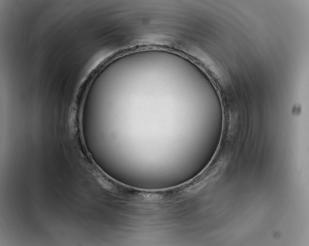 X0000103160878200808221352