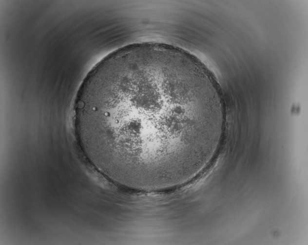 X0000103160879200808221352