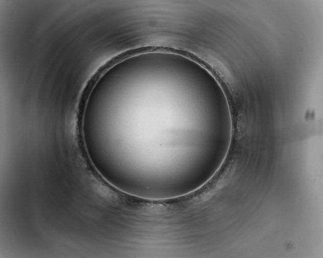 X0000103160880200808221352