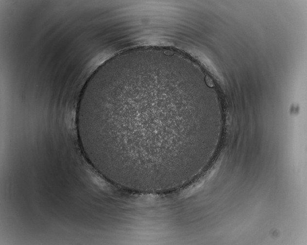 X0000103160881200808221352