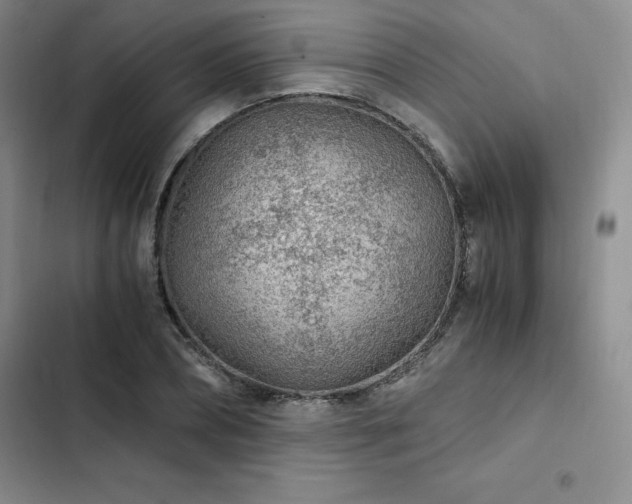 X0000103160882200808221352