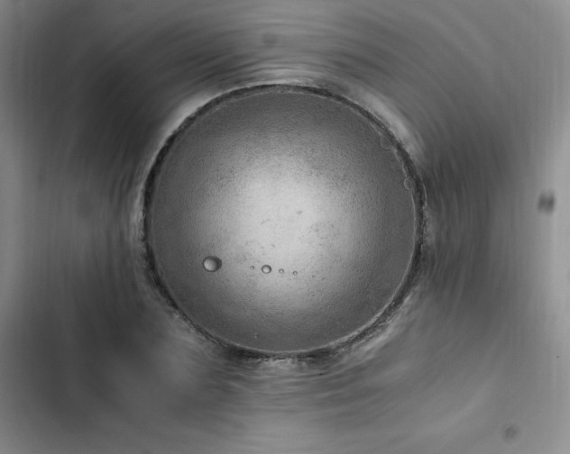 X0000103160883200808221352