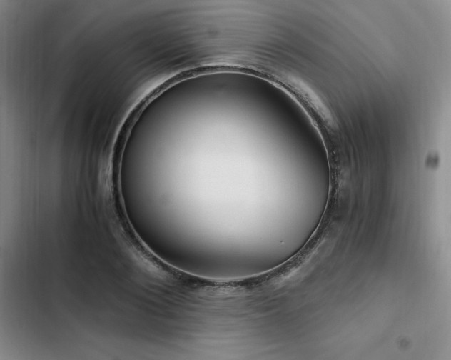 X0000103160884200808221352
