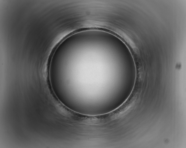 X0000103160885200808221352