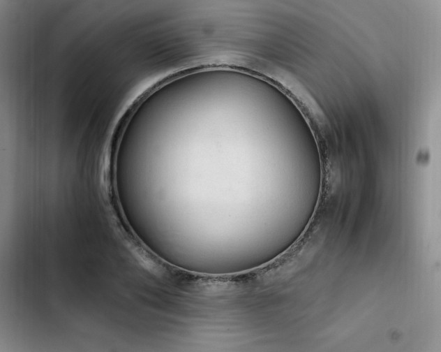 X0000103160886200808221352