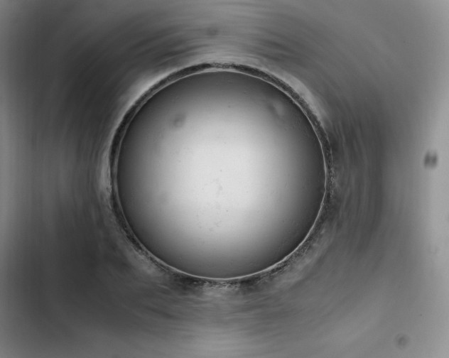 X0000103160887200808221352