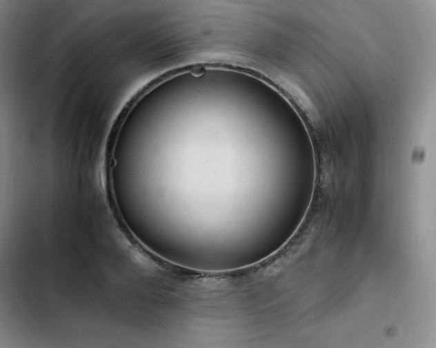 X0000103160888200808221352