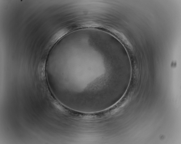 X0000103160889200808221352