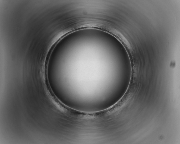 X0000103160890200808221352