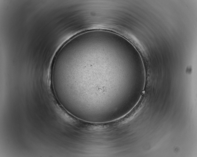 X0000103160892200808221352