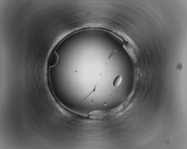 X0000103160894200808221352