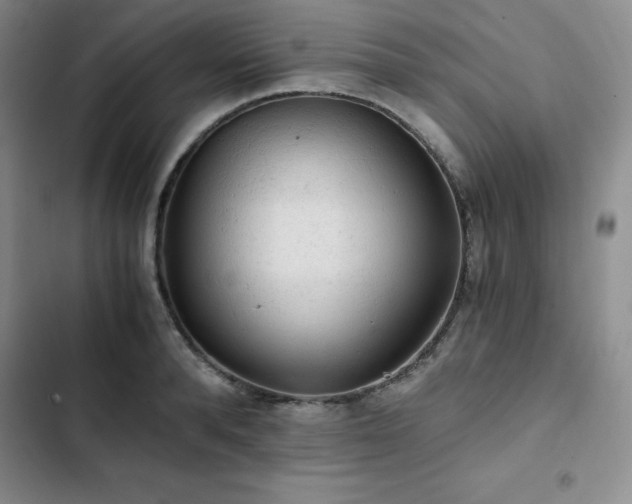 X0000103160896200808221351