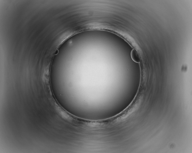 X0000103160897200808221351
