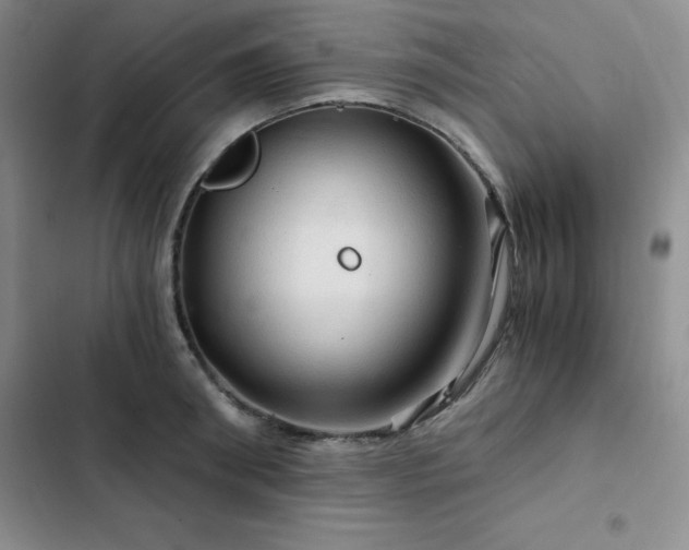 X0000103160898200808221351