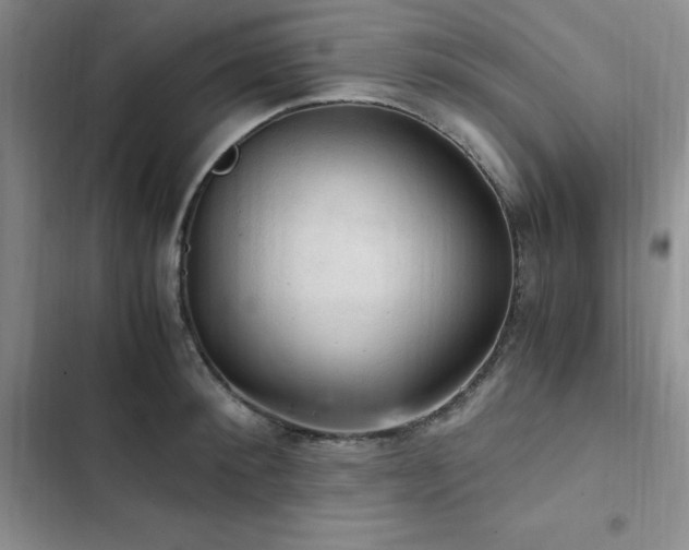 X0000103160900200808221351