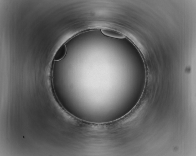 X0000103160901200808221351