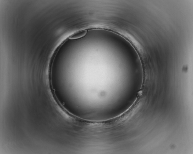X0000103160902200808221351
