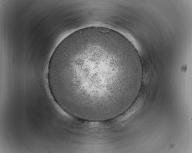 X0000103160903200808221351