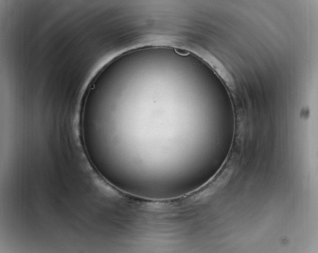 X0000103160904200808221351