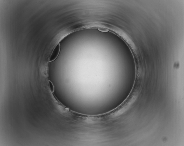 X0000103160905200808221351