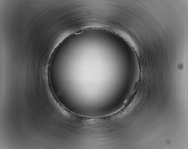 X0000103160906200808221351