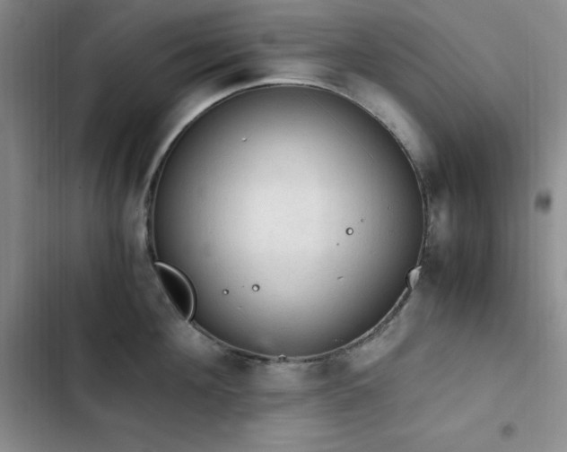 X0000103160908200808221351