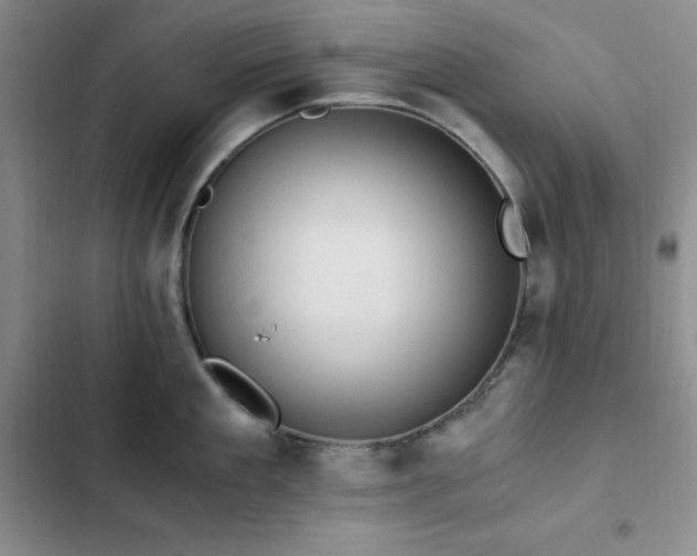 X0000103160909200808221351