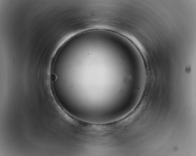 X0000103160910200808221351