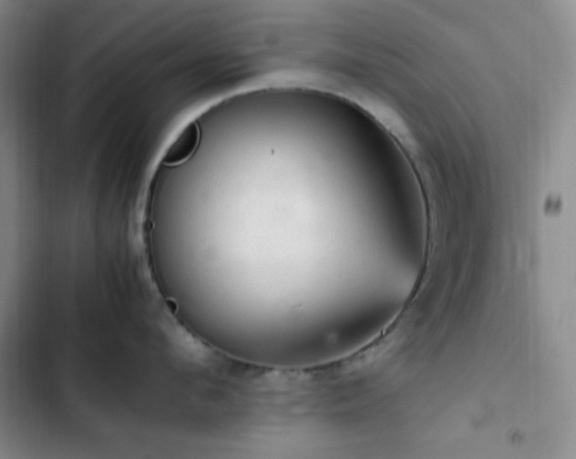 X0000103160912200808221351