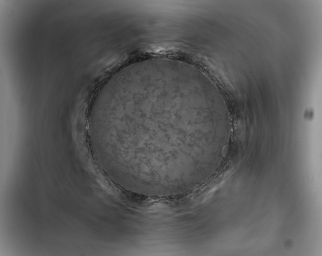 X0000103160913200808221350