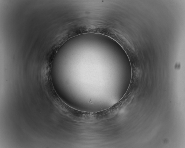 X0000103160914200808221350