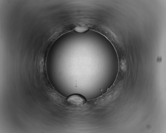 X0000103160915200808221350