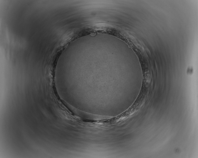 X0000103160916200808221350