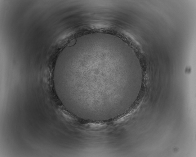 X0000103160917200808221350